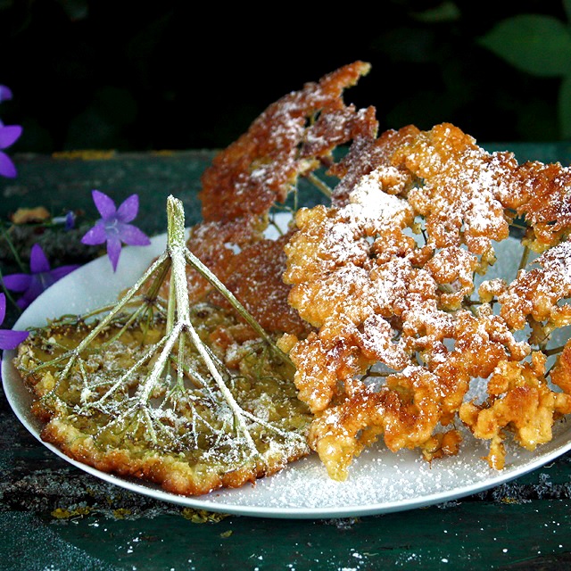 Gebackene Holunderblüten » Taste of Travel