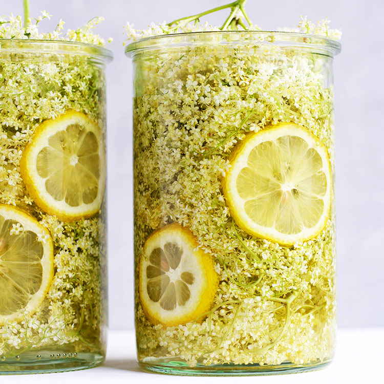 Einfaches Rezept Holunderblütensirup