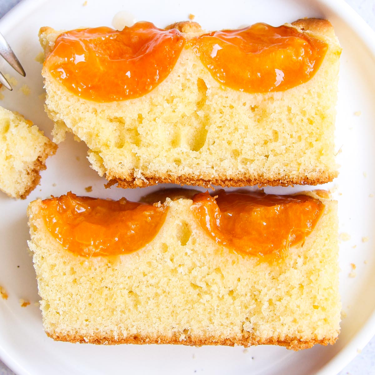 Saftiger Marillenkuchen vom Blech