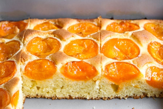 Saftiger Aprikosenkuchen vom Blech Rezept » Taste of Travel