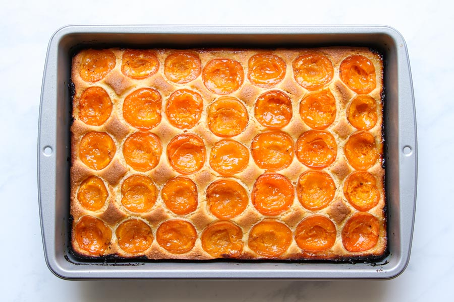 Saftiger Marillenkuchen vom Blech Rezept einfach
