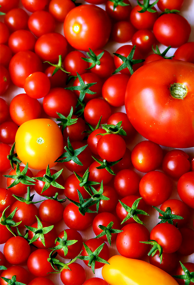 Rezept für fermentierte Tomatensalsa